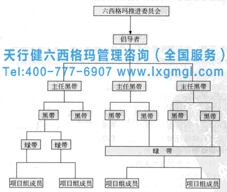 六西格瑪組織中各位置所擔當的角色