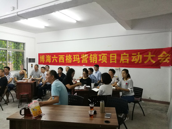 中山博海營六西格瑪營銷項目啟動