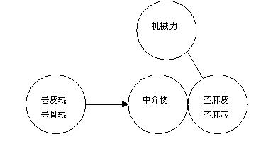 基于TRIZ理論創(chuàng)新苧麻剝麻機