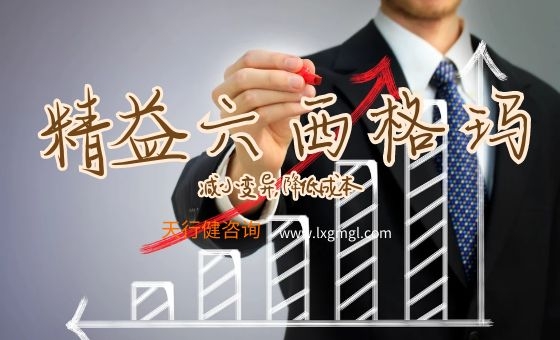 精益六西格瑪系統層面的整合