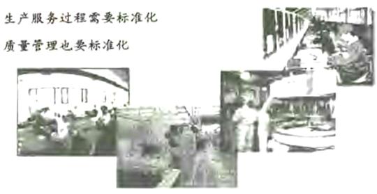 六西格瑪標(biāo)準(zhǔn)化操作