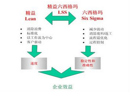  企業獲得六西格瑪成功的12要點