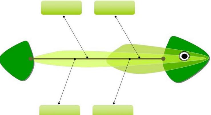 六西格瑪數據分析工具3——魚骨圖